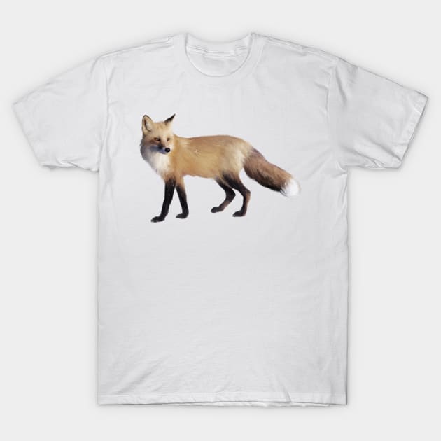 Fox T-Shirt by Amy Hamilton